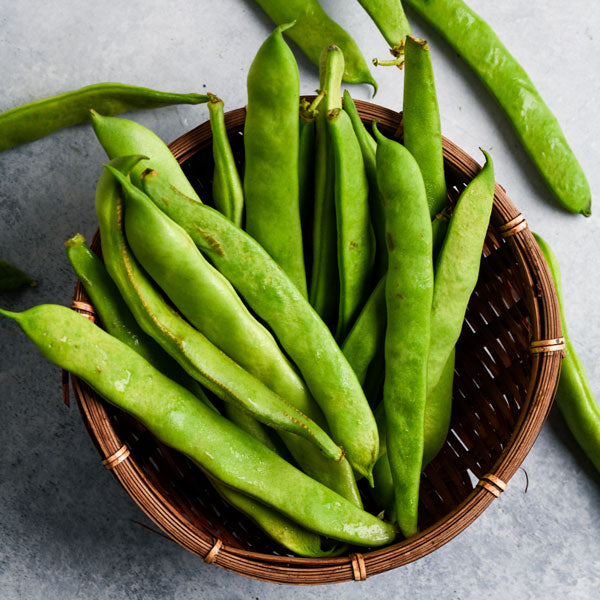 Image of  Romano Beans Other