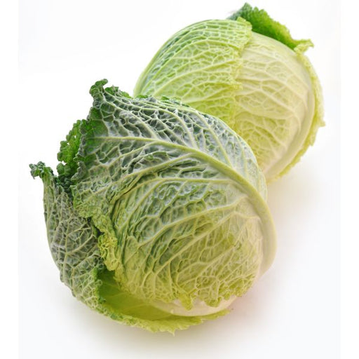 Image of  Savoy Cabbage Vegetables