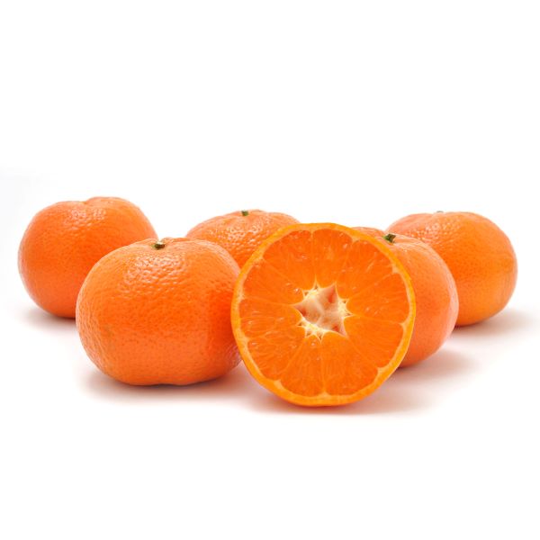 Image of  Shasta Gold Tangerines Fruit