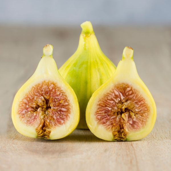 Image of Tiger Striped Figs