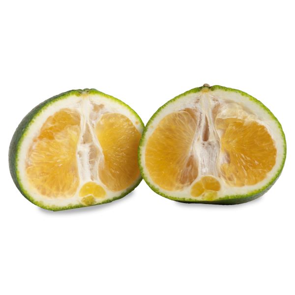 Image of  Uniq Fruit Fruit