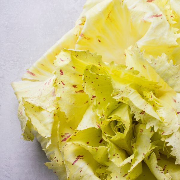 Variegato Radicchio (Italian)