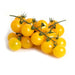 Image of Yellow Cherry Tomatoes on the Vine Fruit Bulk