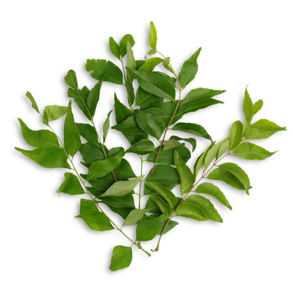 Image of  Curry Leaves Other