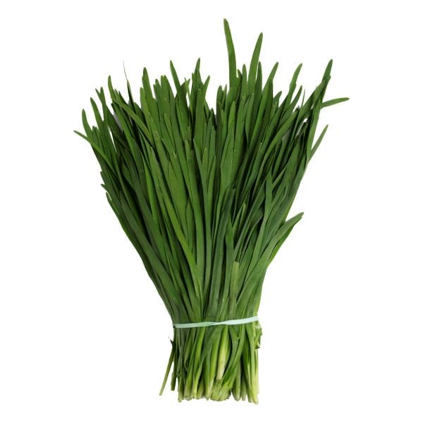 Nira Grass Garlic Chive — Melissas Produce