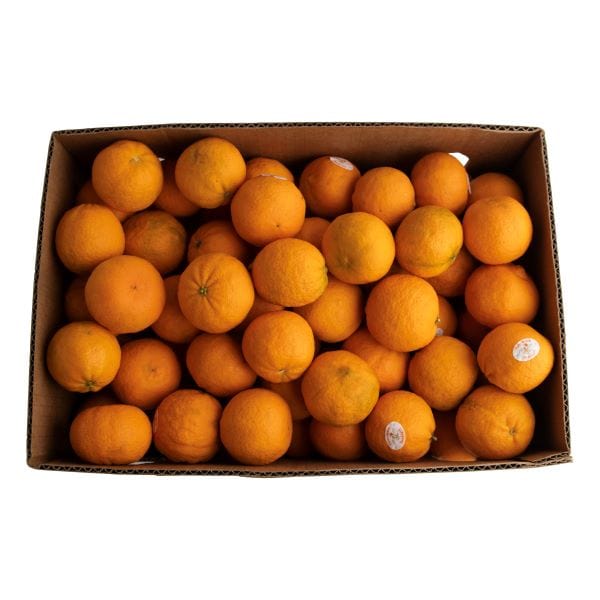 Neapolitan® Tangerines — Melissas Produce