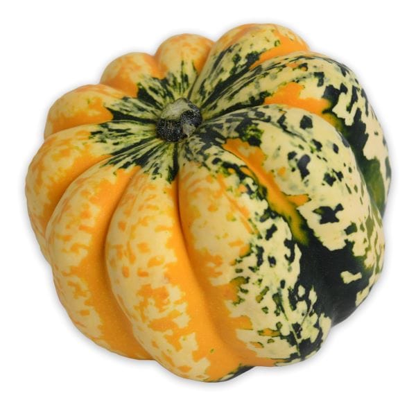 Image of  Organic Carnival Squash Vegetables