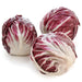 Image of  Radicchio (Italian) Vegetables