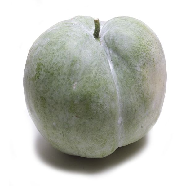 Image of  Winter Melon Fruit