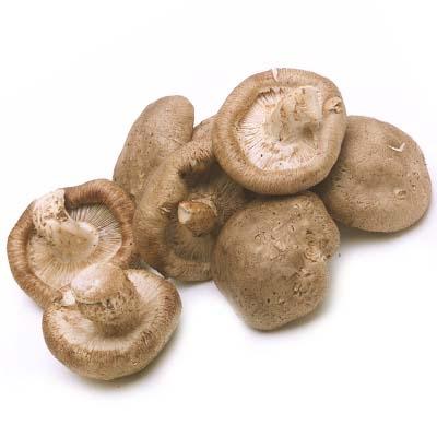 Shiitake Mushrooms - Set of 6