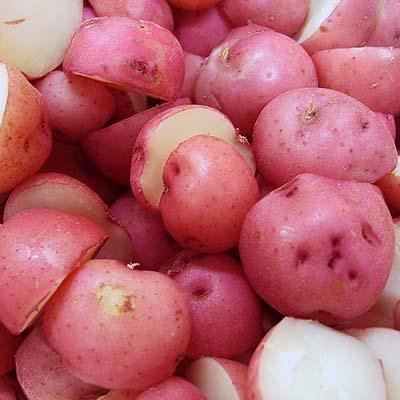 https://www.melissas.com/cdn/shop/products/3-pounds-image-of-baby-red-potatoes-vegetables-28658286854188_400x400.jpg?v=1658246795