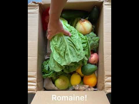 Organic Keto Friendly Box — Melissas Produce