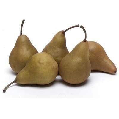 Bosc Pear - The FruitGuys