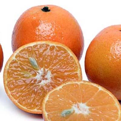 https://www.melissas.com/cdn/shop/products/image-of-clementine-tangerines-fruit-14764170084396_400x400.jpg?v=1617049799