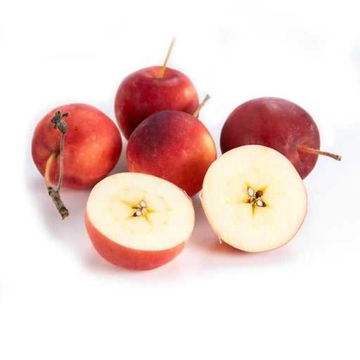 Cosmic Crisp Apples — Melissas Produce