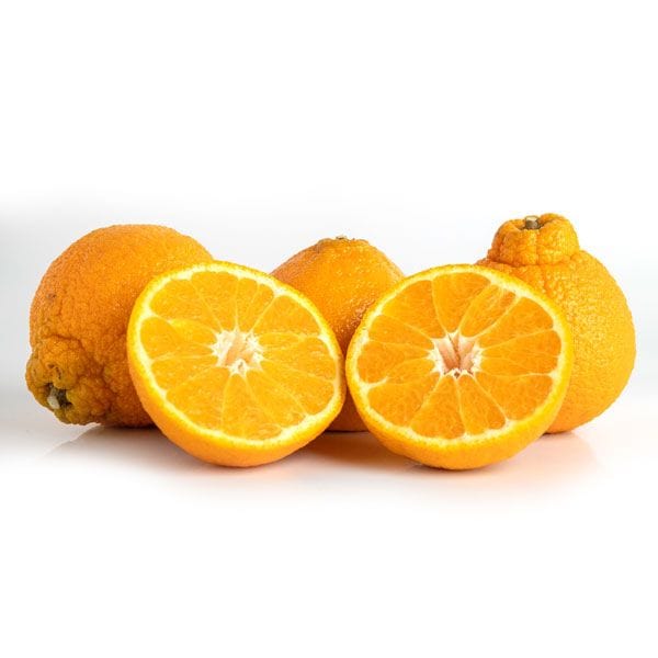 Fresh Mandarin Orange Fruit/ Baby Mandarin Orange - China Orange, Mandarin  Oranges
