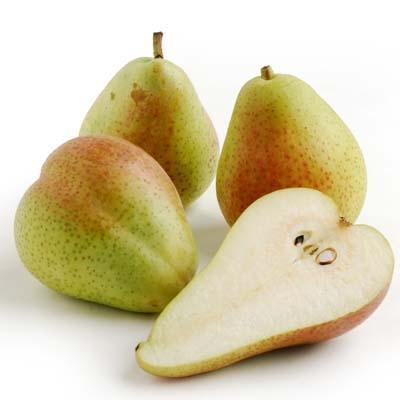 https://www.melissas.com/cdn/shop/products/image-of-forelle-pears-fruit-14764272549932_400x400.jpg?v=1616898005