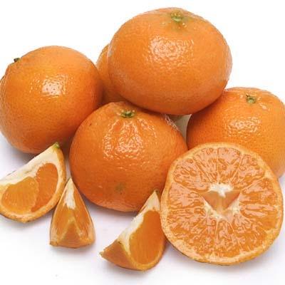 Murcott Tangerines — Melissas Produce