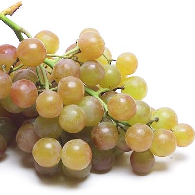 https://www.melissas.com/cdn/shop/products/image-of-muscatel-grapes-fruit-14764255838252_400x400.jpg?v=1616952510