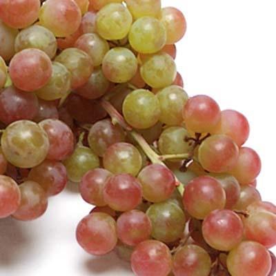 https://www.melissas.com/cdn/shop/products/image-of-pink-muscatel-grapes-fruit-14764260884524_400x400.jpg?v=1616825674