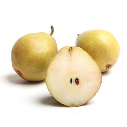 Bosc Pears — Melissas Produce